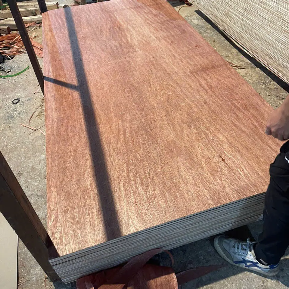 Real Bintangor face plywood