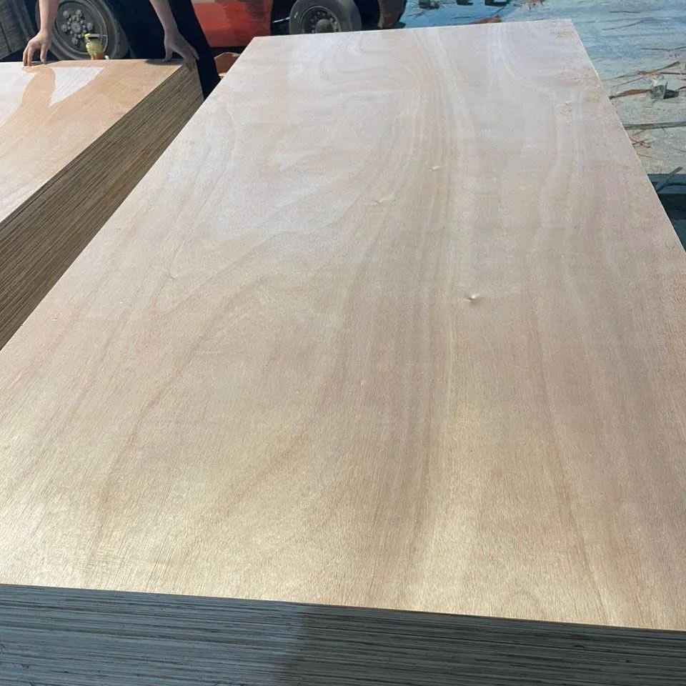 Real Okoume face plywood