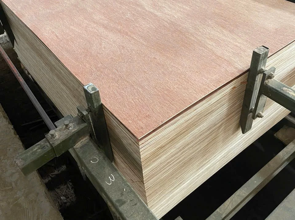 Bintangor-faced plywood stack held by steel clamp posts, salmon-red face and layered edges
