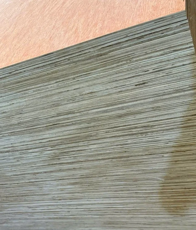 Salmon-red bintangor face on a thick plywood pack with a tall pale layered core edge